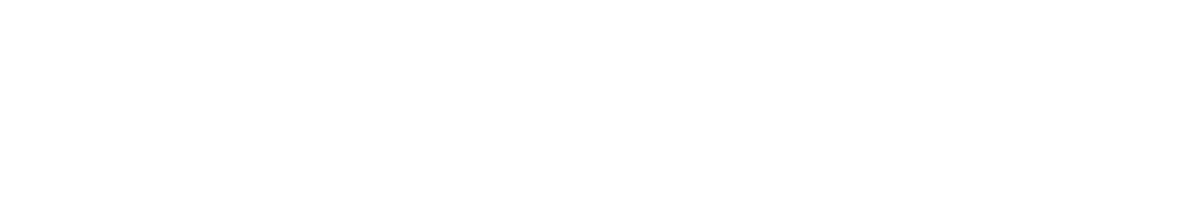 StelaExperta